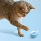 Purr™ | Interactieve Elektrische Speelbal voor Katten