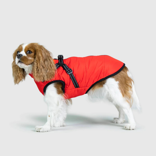 ChillCoat™ | Geavanceerde Winterjas voor Honden