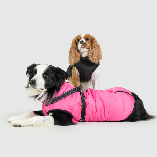 ChillCoat™ | Geavanceerde Winterjas voor Honden