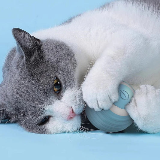 Purr™ | Interactieve Elektrische Speelbal voor Katten